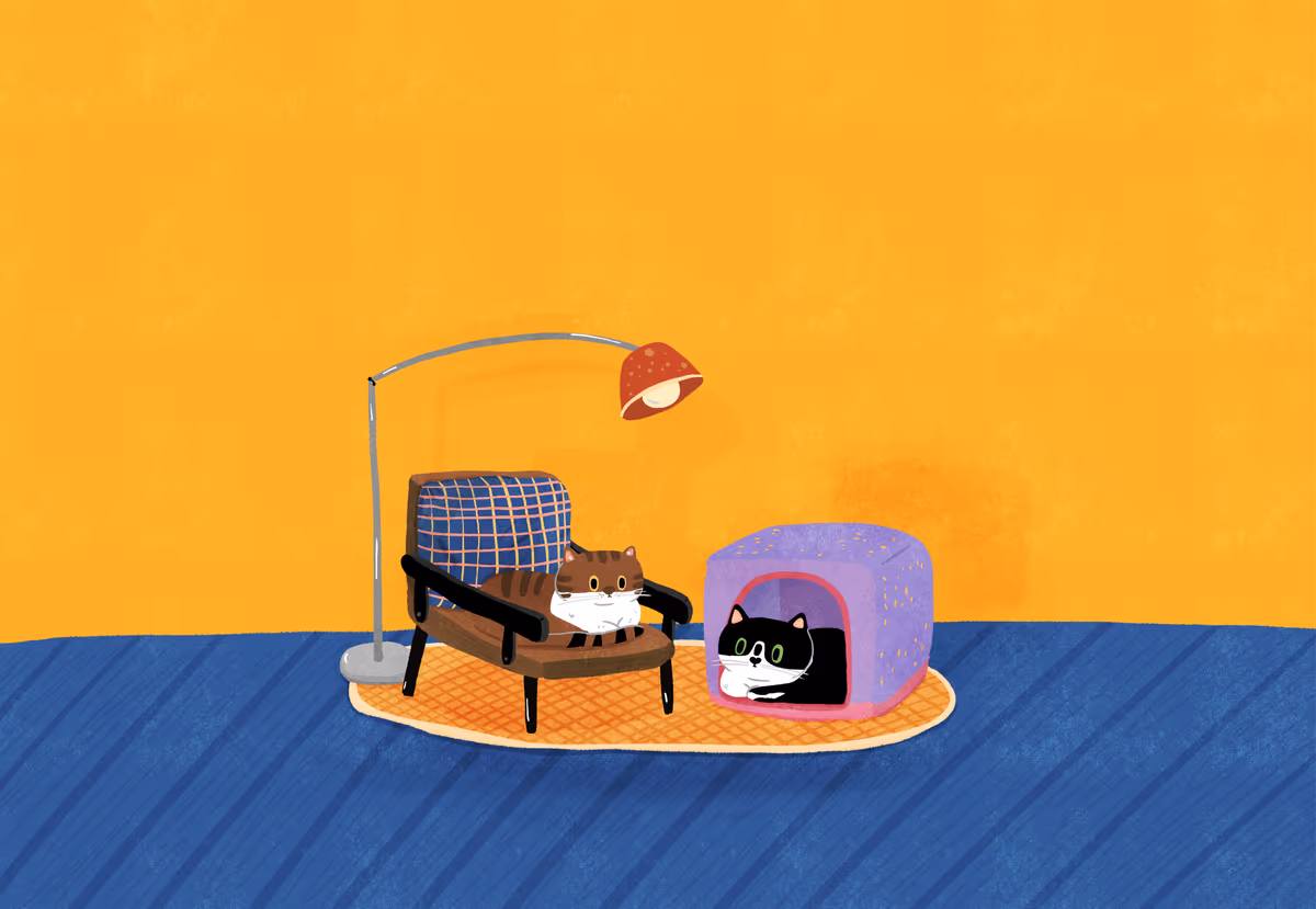 奇奇六六在家裡